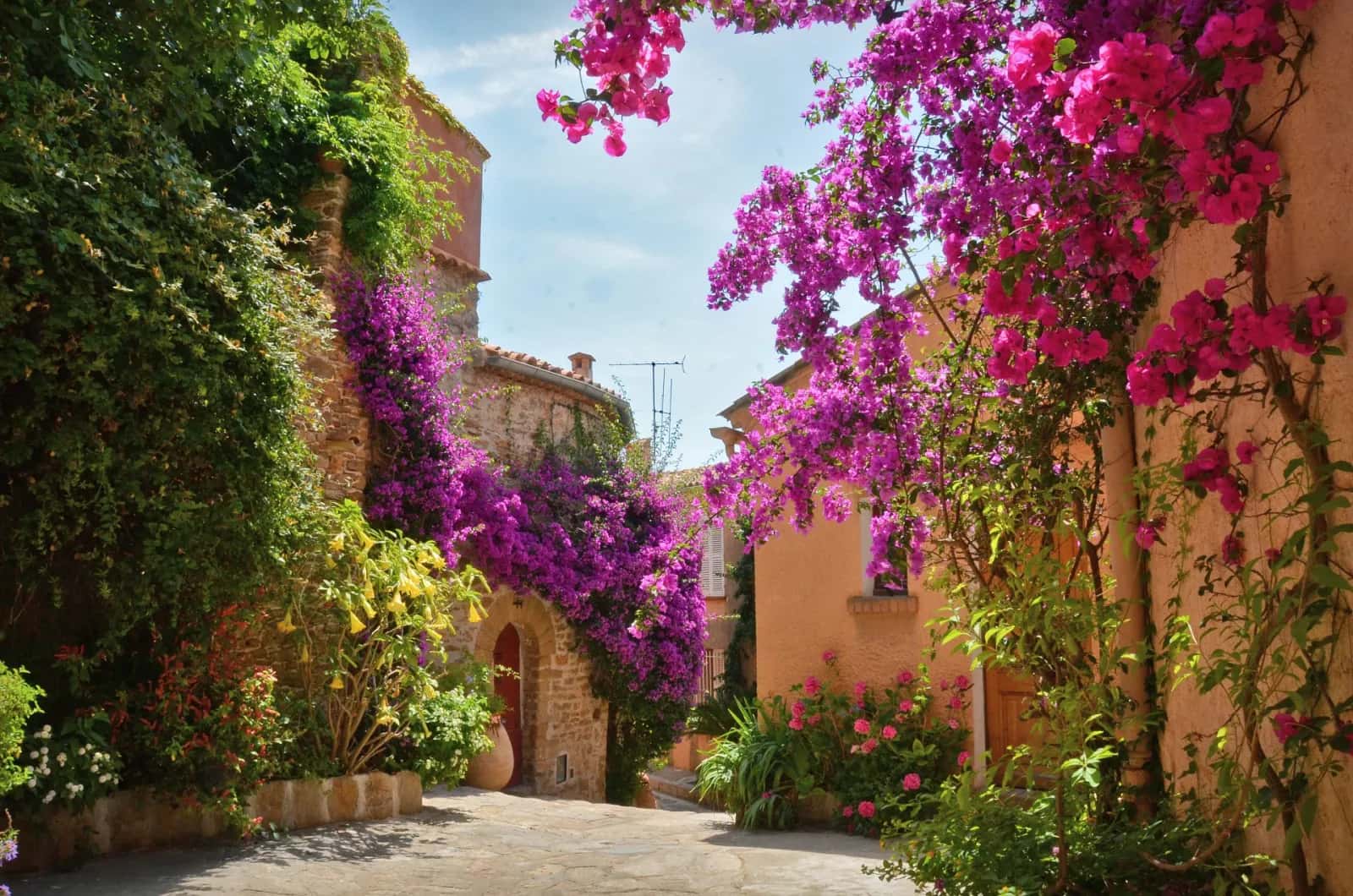 Ruelle fleurie de bougainvilliers dans le vieux village de Bormes-les-Mimosas